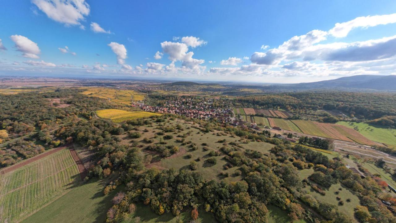 Gite Le Petit Moulin Rosenwiller Exterior foto