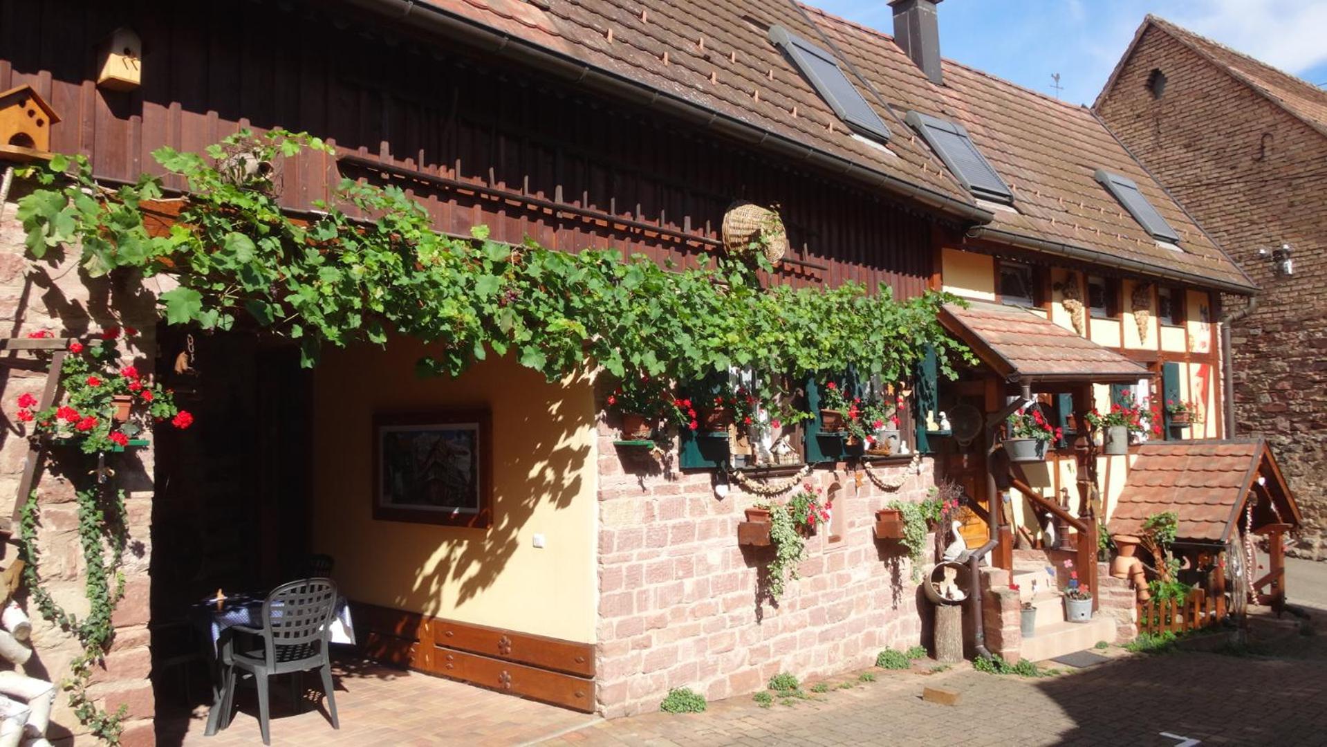 Gite Le Petit Moulin Rosenwiller Exterior foto