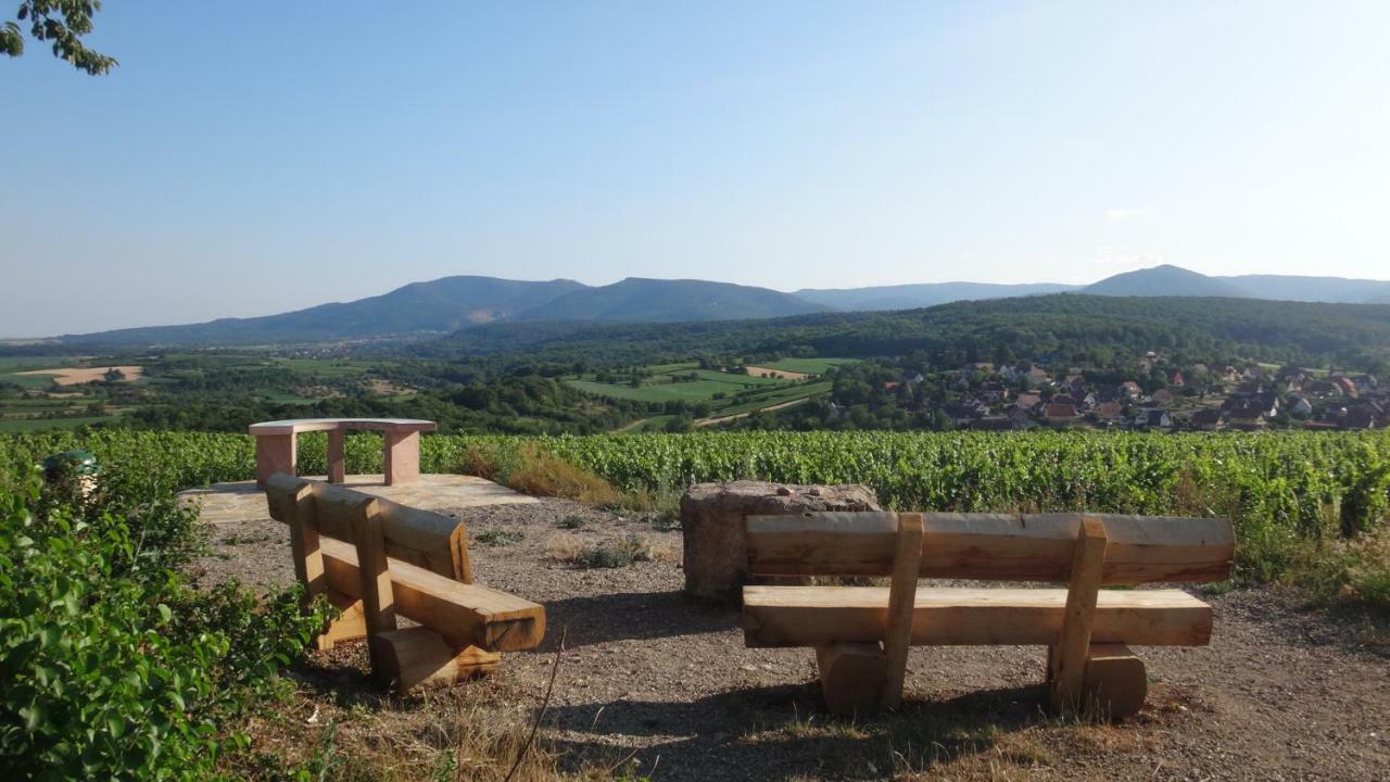 Gite Le Petit Moulin Rosenwiller Exterior foto
